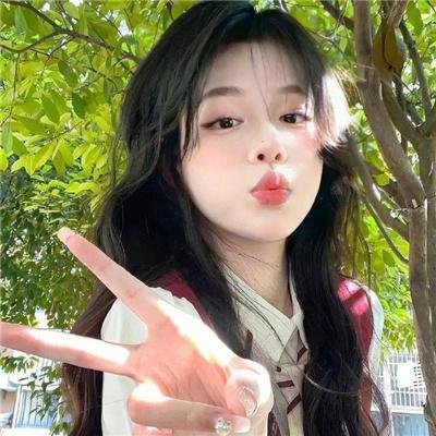 极主夫道 电影版